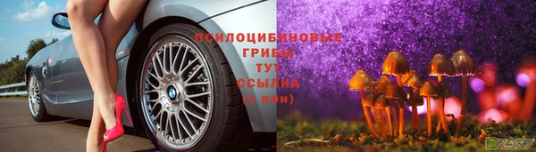хмурый Нефтекумск