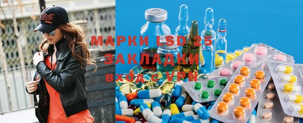 хмурый Нефтекумск