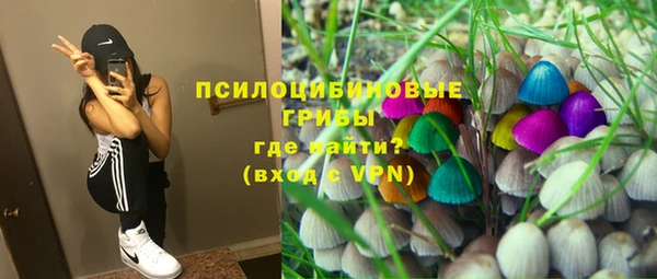 PSILOCYBIN Дмитровск