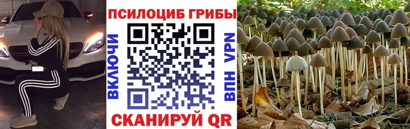 Галлюциногенные грибы прущие грибы Белоозёрский